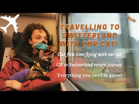 Travelling Abroad With Our Cat For The First Time! London-Switzerland Vlog