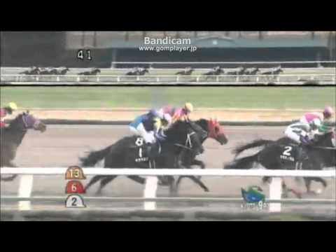 競馬　Horse racing　2013年1月6日（日） 1回京都2日9R 初夢ステークス