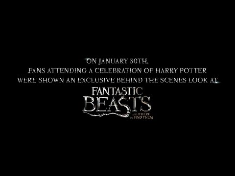 Fantastic Beasts and Where to Find Them (Featurette 2)