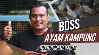 Download lagu BOSS AYAM KAMPUNG | DUSOON SARA FARM | Usahawan Bimbingan RISDA Negeri Perak mp3