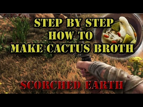 download lagu mp3 mp4 Ark Cactus Broth, download lagu Ark Cactus Broth gratis, unduh video klip Ark Cactus Broth