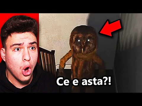 10 Filmulețe Paranormale Care Te Vor Lăsa Cu Gura Căscată / Video-uri Horror 2022