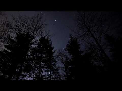 Relax - Forest at night