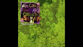 Seal Eyeing - Animal Collective (Karaoke / Instrumental)