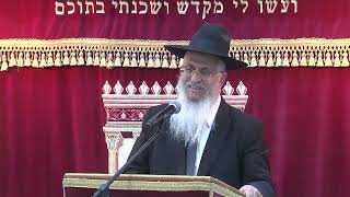 033רוממות התפילה שליח ציבור (הרב יורם סרי) - התמונה מוצגת ישירות מתוך אתר האינטרנט יוטיוב. זכויות היוצרים בתמונה שייכות ליוצרה. קישור קרדיט למקור התוכן נמצא בתוך דף הסרטון