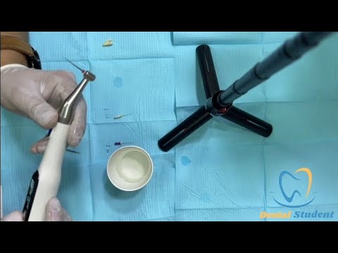 Rotary system From A  to  Z || Cleaning and shaping