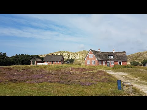 Fanø von oben: Nordsee und Dünen hautnah