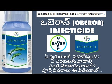 paraziták oberon