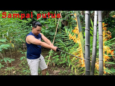 Tebang pohon Bambu dengan pedang katana Tertajam
