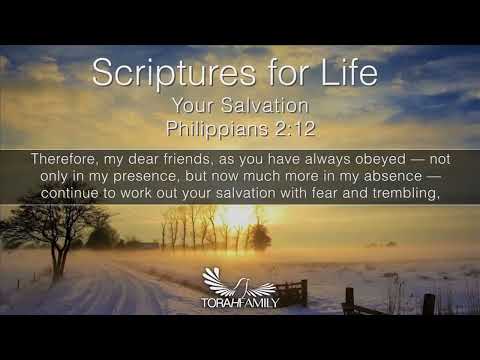 Scriptures for Life | Your Salvation