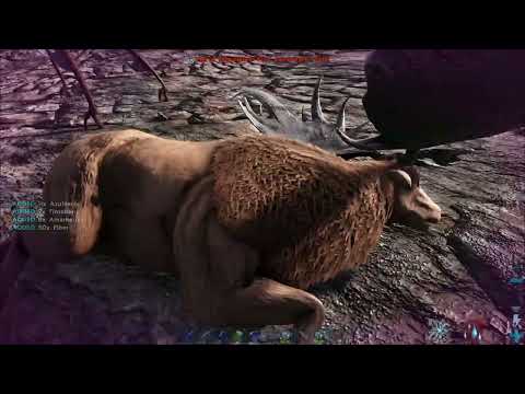 How To Tame A Megaloceros In Ark