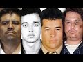 El Ascenso Y Oscuro Final De Los 14 ZETAS Fundadores