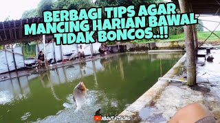 Download lagu Daily Fishing Tips and Tricks for Bawal So You Don't Go Broke.!!!! mp3 Download lagu Daily Fishing Tips and Tricks for Bawal So You Don't Go Broke.!!!! mp3
