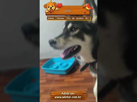 Vídeo de Jade