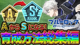 【ブルーロックPWC】AからSになる！育成方法総集編！見ないと損!