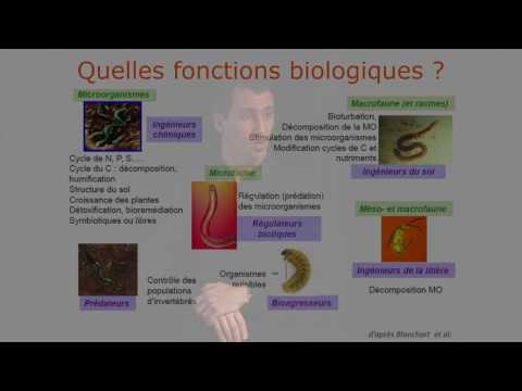 Fonctionnement biologique des sols abondance, diversité et fonctions