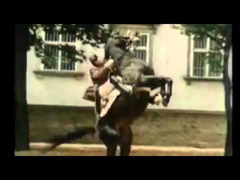 Ignaz Lauscha, Erster Oberbereiter Spanische Hofreitschule