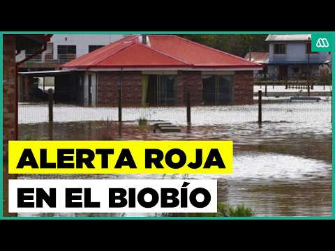 Alerta por peligro de desborde del río Biobío : Intensas precipitaciones en la zona centro-sur