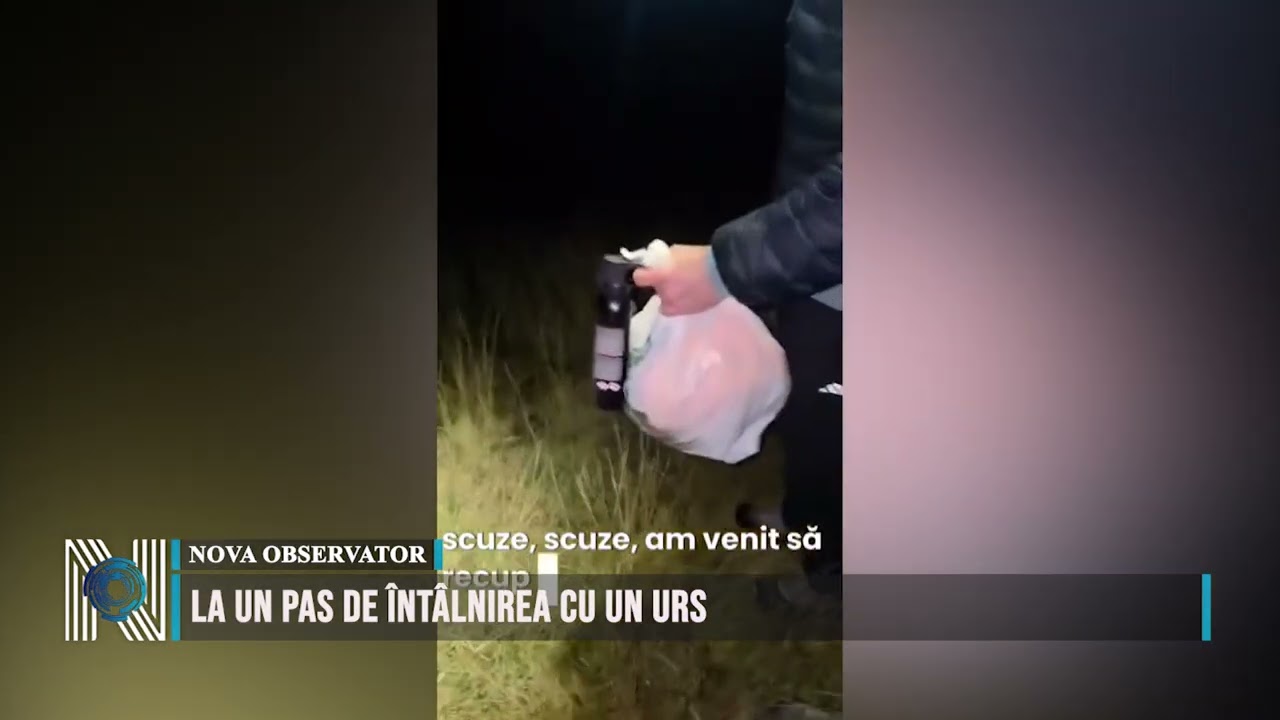 La un pas de întâlnirea cu un urs