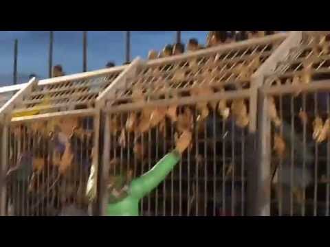 A.s.d. Ideale Bari - A.s.d. Fabrizio Miccoli: quinta di campionato (parte 2)