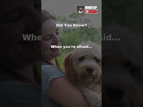 Fear Unmasked: The Startling Psychology Behind Your Deepest Anxieties! #facts #pyscology  #quotes