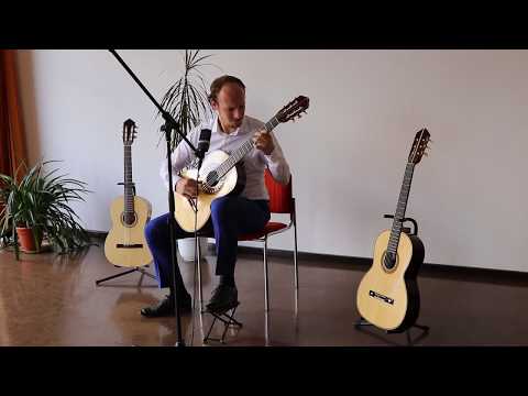 Den Toom Luthier ft. Tim Panman - An Malvina