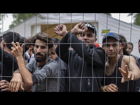 Litauen schottet sich ab gegen Flüchtlinge
