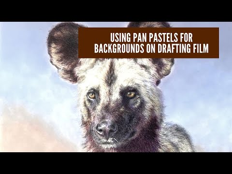 Using Pan Pastels for Backgrounds on Drafting Film