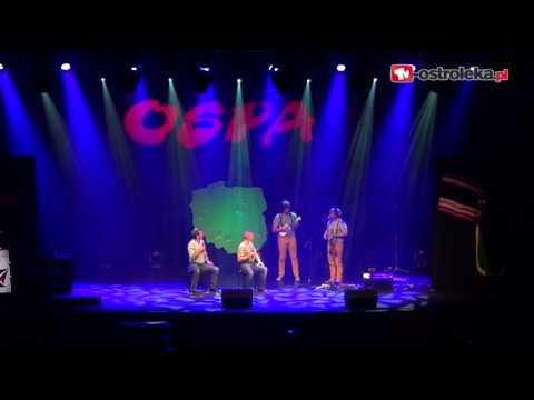 OSPA 2014 - Kabaret Świerszczychrząszcz i Muzikanty