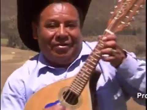 ICHUCHA MANA MAMAYOCC (SIWINA DE ACCHA)