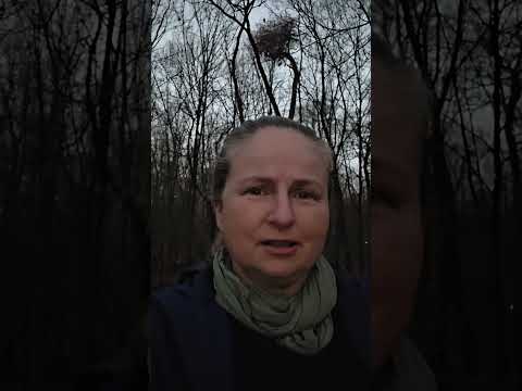 Agnieszka Zdrzalik-36