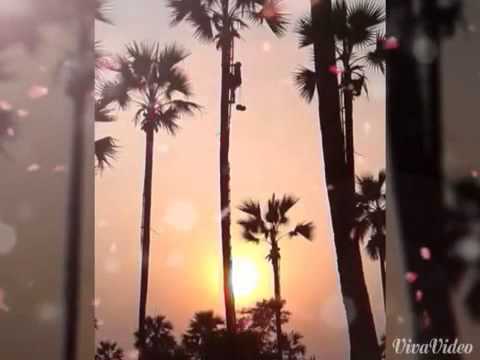 Ma Chit Loe Mha Ma Hote Tar