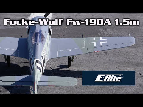 E-Flite Fw-190A 1.5m Smart BNF w/ AS3X and SAFE Select - The Butcher has Arrived. | HobbyView