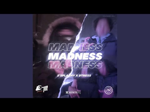 Madness (feat. Dtr3ss)