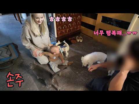 8300KM를 날아온 손주를 보기 위해서 달려오신 할머니&할아버지들