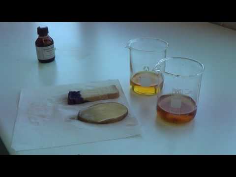 download lagu mp3 mp4 Bread Is Starch, download lagu Bread Is Starch gratis, unduh video klip Bread Is Starch