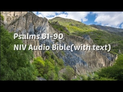 Psalms 81-90: NIV Audio Bible(with text)