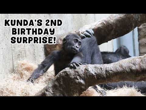 We Finally Saw Kunda Play with Her Mom - Kunda's 2nd Birthday!