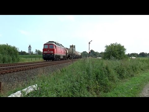 Umleiter Richtung Dänemark 2014  #Sichtung 12 bei Risum-Lindholm (Marschbahn)