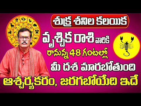 శుక్ర శనిల కలయిక | Vruschika Rasi Phalalu 2025 Telugu | Vruschika Rasi Phalalu January 2025 |Scorpio