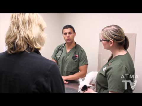 Obesity and your Pet | Charlotte , NC | Davis Lake Animal Hospital