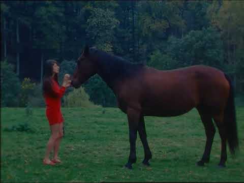 Boris Lehman - 'Leçon de Vie' DVD Trailer