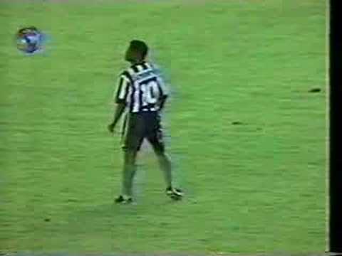 Gol Mal Anulado do Botafogo na final de 1995!