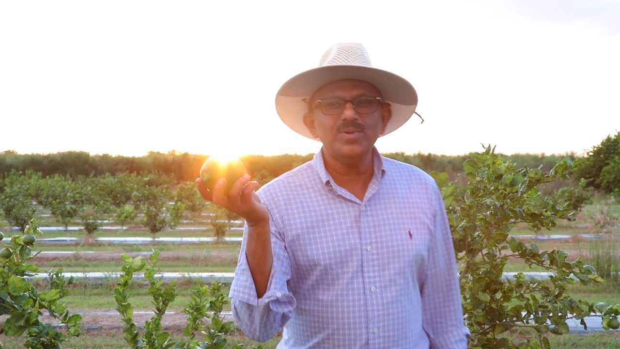 Dr. Mani's Insights: PROMO