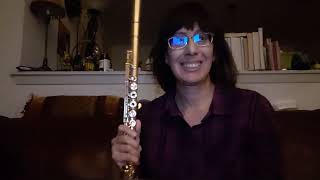 Modern English - Carry Me Down (flute play-along)