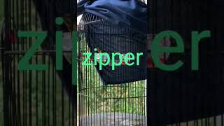 Download lagu sogon materi zipper milik om Crist mp3 Download lagu sogon materi zipper milik om Crist mp3