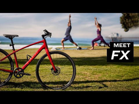 TREK FX 2 Stepover Gen 4