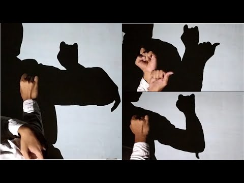 How to make cat by hand shadow III Animal Hand Shadow performance