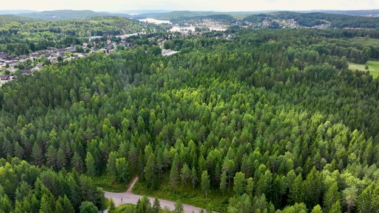 Gård med skogsbruk på Skog strax utanför Bengtsfors Bengtsfors Bengtsfors kommun - video