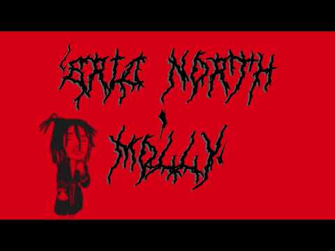 Eric North - Molly (remix)